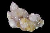 Cactus Quartz (Amethyst) Crystal Cluster - South Africa #137821-1